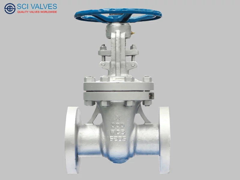 Cast Steel Gate Valve